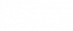 Biocatch logo Biocatch logo
